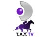 Tay Tv Bilgileri