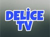 Delice Tv Bilgileri