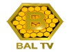 Bal Tv Bilgileri