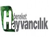 Bereket Hayvancılık Tv Bilgileri