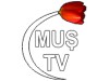 Muş Tv Bilgileri