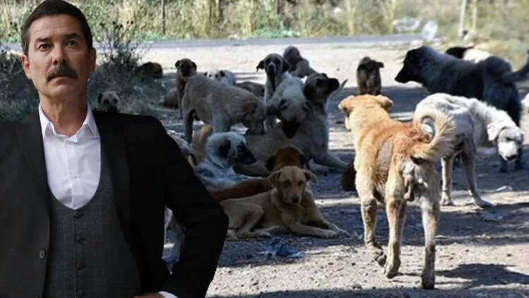 O oyuncu da köpeklerin saldırısına uğradı!