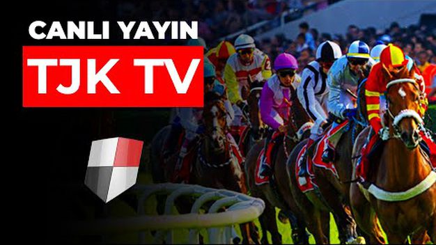 TJK Tv canlı izle!